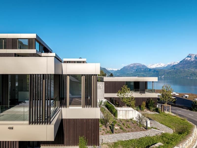 Architecture, Comfort, and Sustainability with a Far-Reaching View (6)