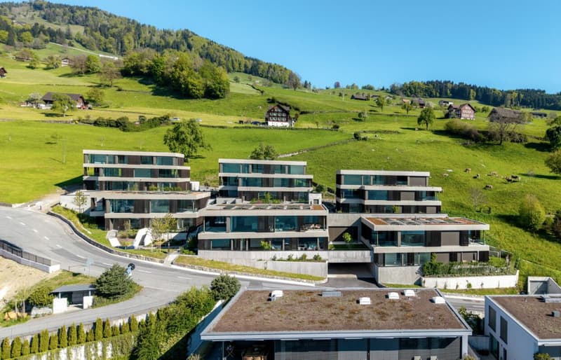 Architecture, Comfort, and Sustainability with a Far-Reaching View (8)