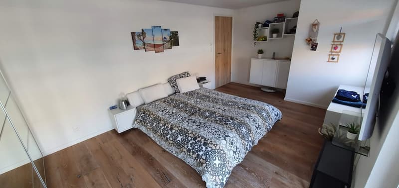 Ampio appartamento di 6,5 locali con terrazza a Bévilard (18)