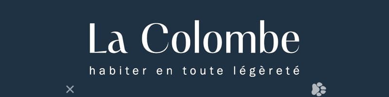 La Colombe, Biel - Neubauprojekt / La Colombe, Bienne - Projet de construction neuve (2)