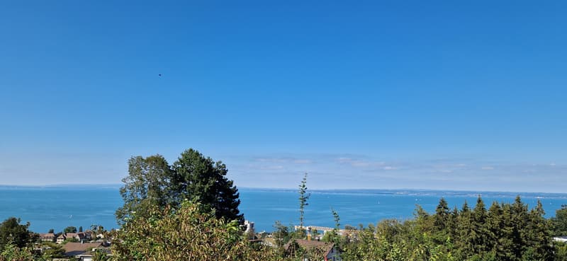 Aussicht Bodensee