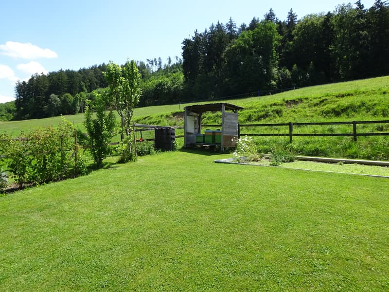 Spielwiese mit Nutzgarten und Beerenhecke