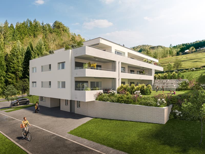Aussenvisualisierung