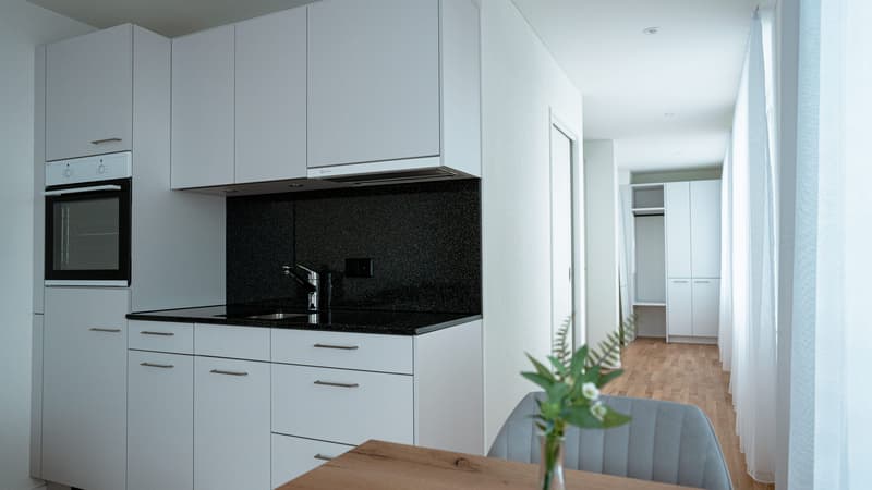 Appartement meublé 1 pièce avec terrasse à Dübendorf (3)