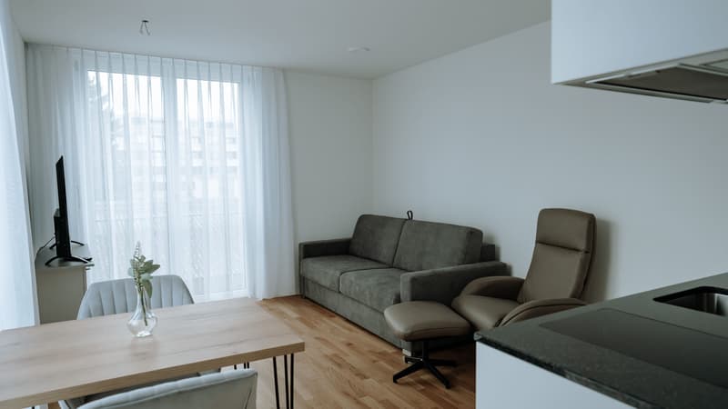 Appartement meublé 1 pièce avec terrasse à Dübendorf (6)