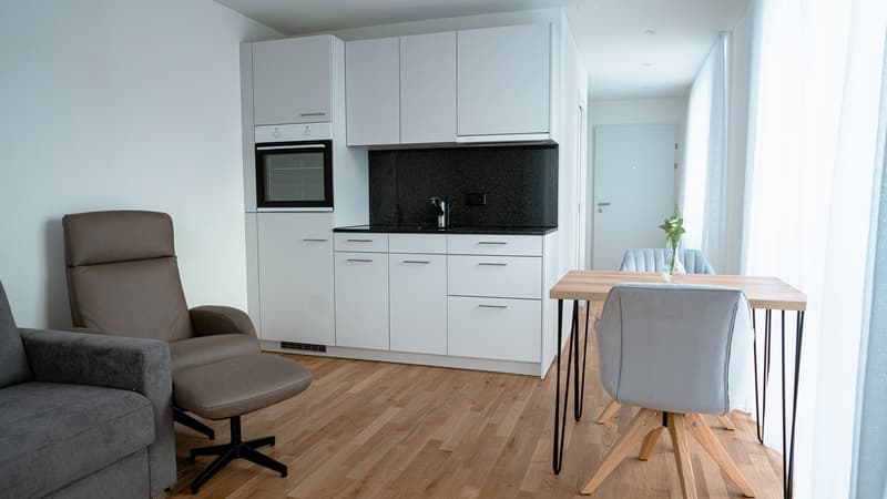 Appartement meublé 1 pièce avec terrasse à Dübendorf (7)
