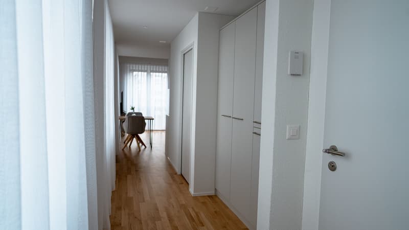 Appartement meublé 1 pièce avec terrasse à Dübendorf (4)