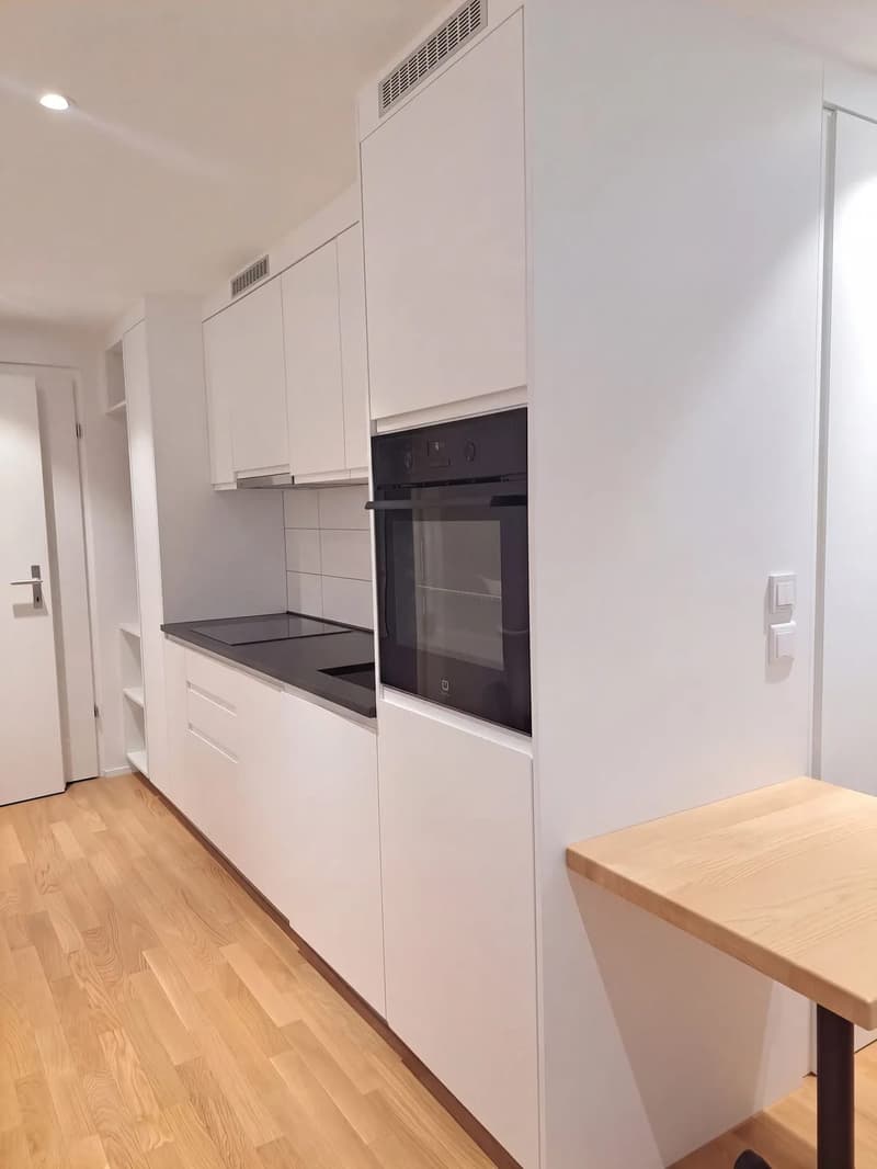 Möbliertes 1.5-Zimmer-Studio mit Terrasse in Fahrweid mieten. (2)