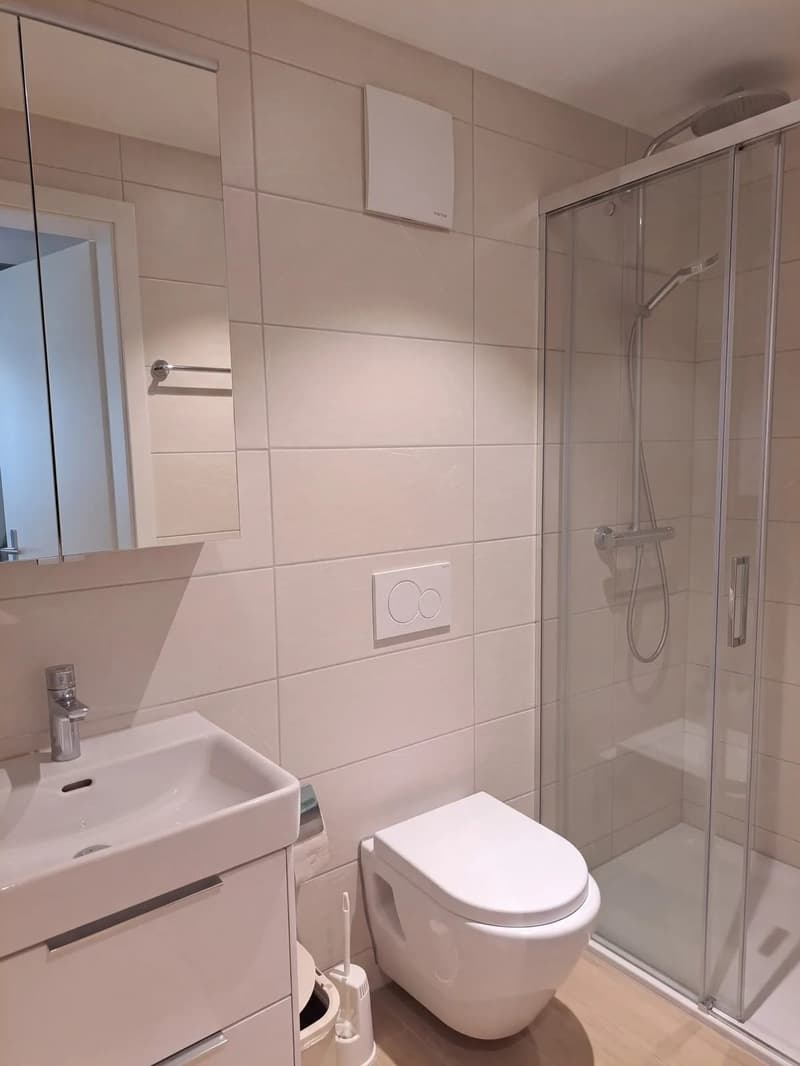 Möbliertes 1.5-Zimmer-Studio mit Terrasse in Fahrweid mieten. (7)