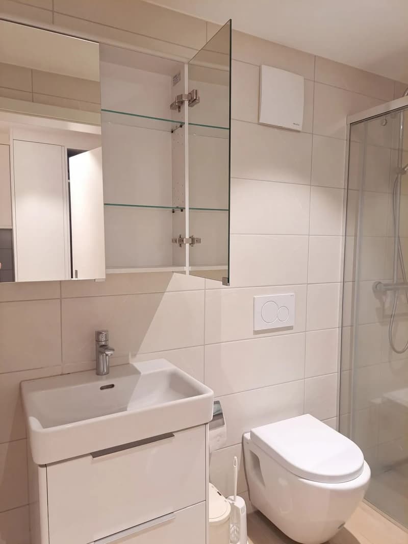 Möbliertes 1.5-Zimmer-Studio mit Terrasse in Fahrweid mieten. (6)