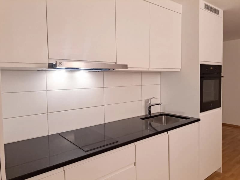 Möbliertes 1.5-Zimmer-Studio mit Terrasse in Fahrweid mieten. (3)
