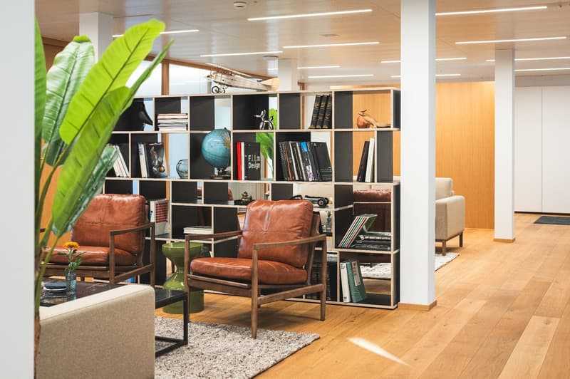 wooden furniture, bookshelves, globe, flowers, carpet, plants, modern design