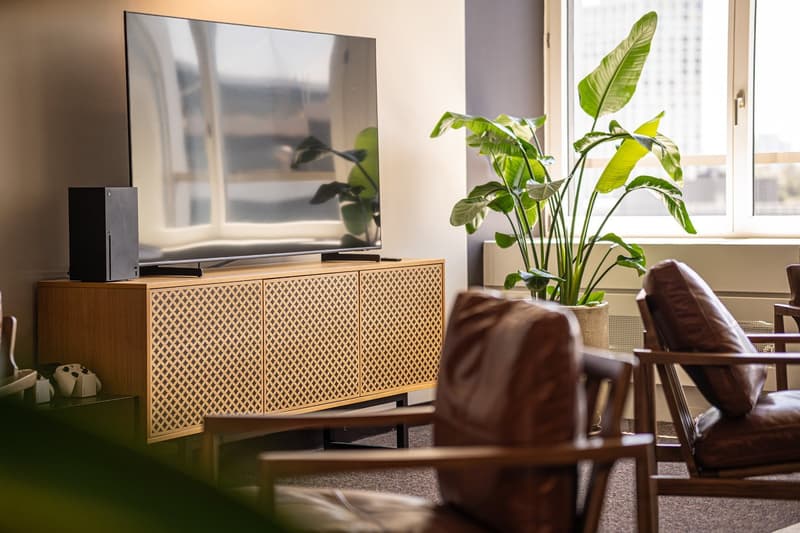 living room, flat screen TV, entertainment center, plant, brown leather chairs, game controller