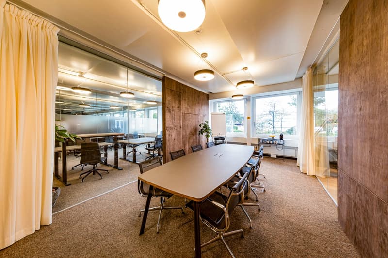 meeting room with large rectangular table, glass walls, wooden walls, large windows, plants, modern chairs