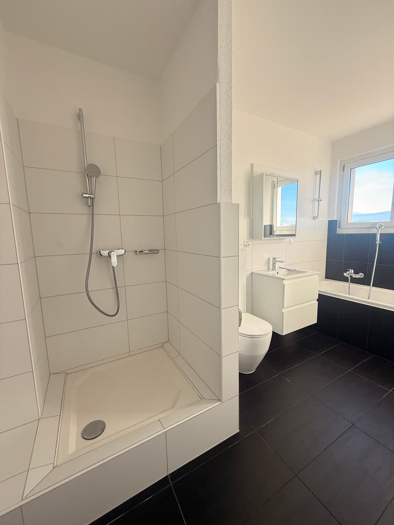 Spacieux appartement de 4.5 pièces à Villars-sur-Glâne (6)