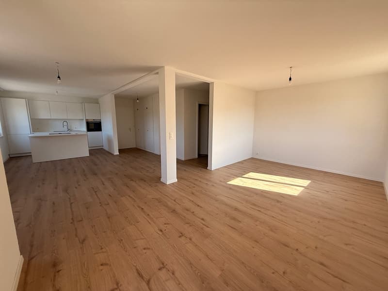 large living area with kitchen island, white kitchen, built-in wardrobes, central pillar, radiators, double-glazed windows