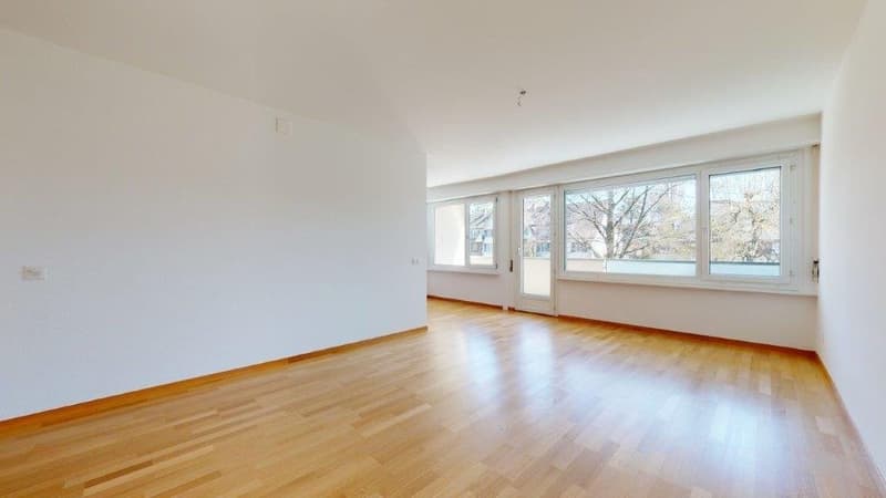 Appartement charmant au lac de Bienne (5)