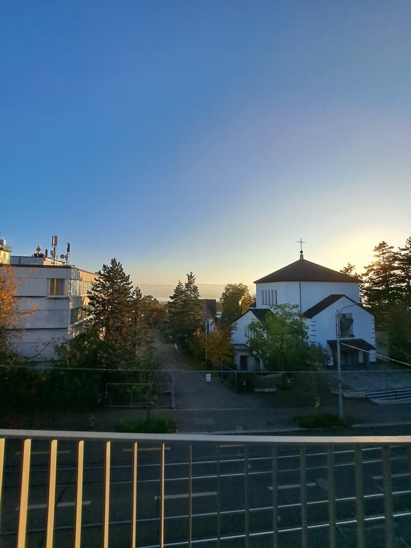 20241029_162317.jpg