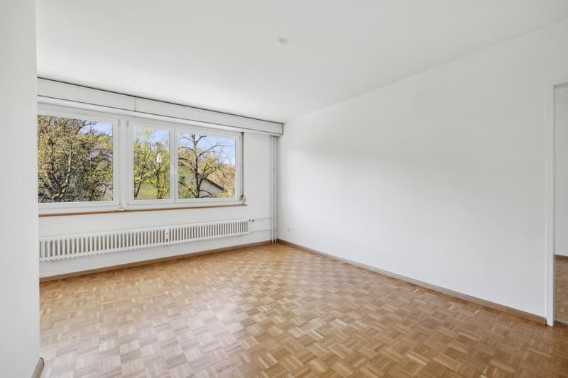 Appartement confortable dans le populaire Gundeli (6)