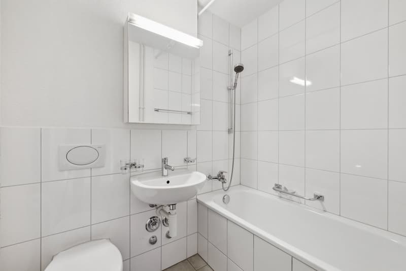 Appartement confortable dans le populaire Gundeli (4)