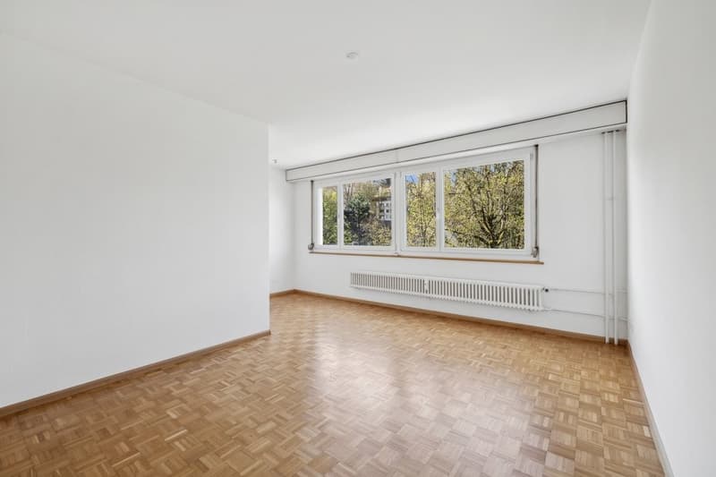 Appartement confortable dans le populaire Gundeli (5)