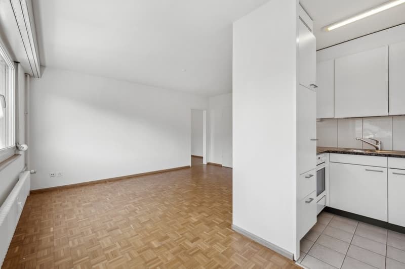 Appartement confortable dans le populaire Gundeli (2)