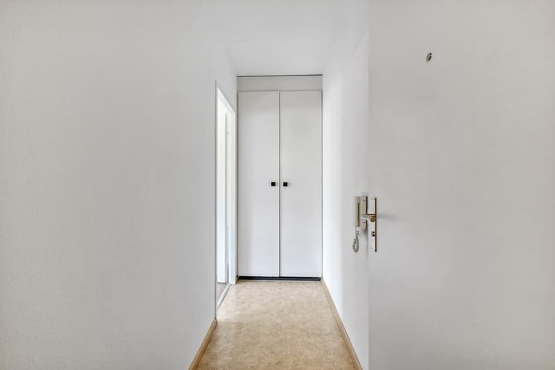 Appartement confortable dans le populaire Gundeli (8)