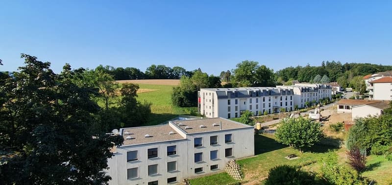 Vue