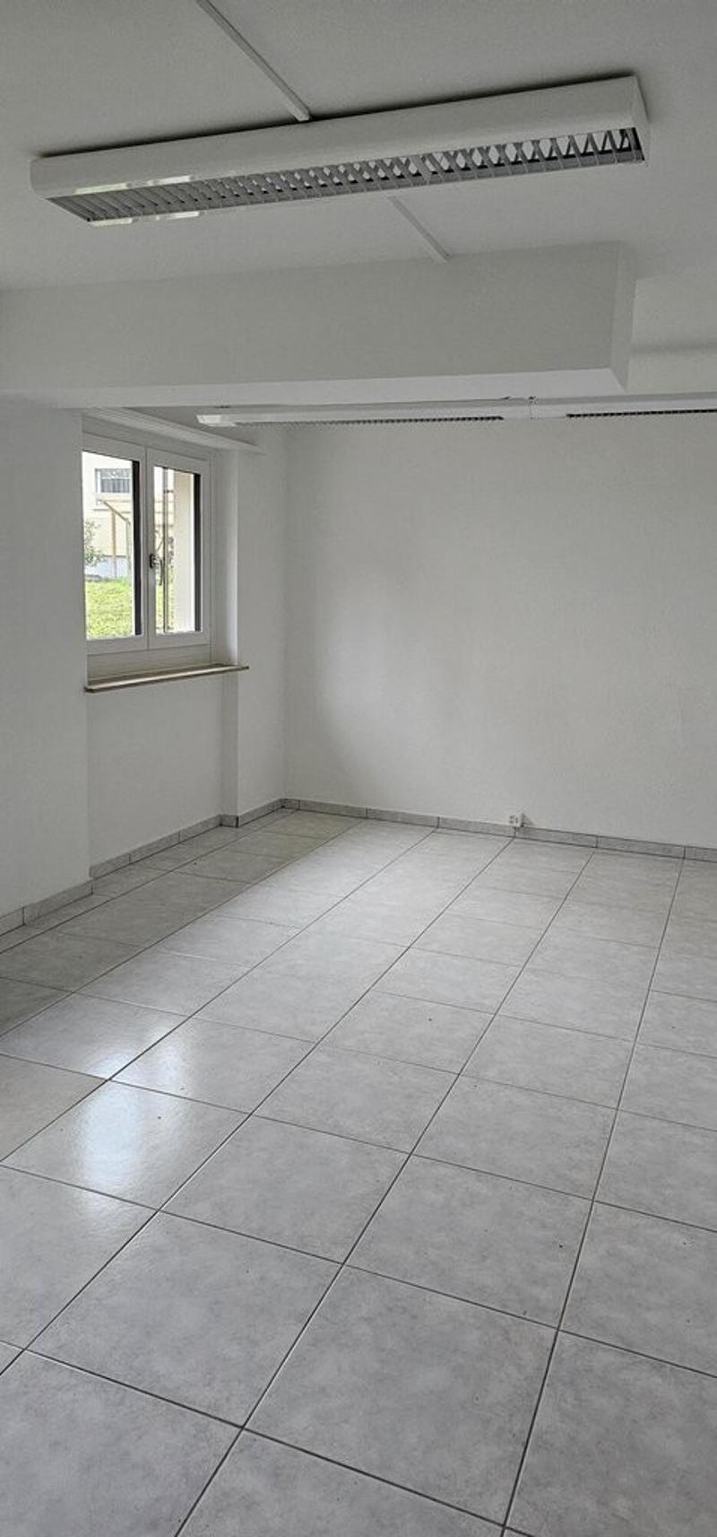 4617.02.0001a.jpg