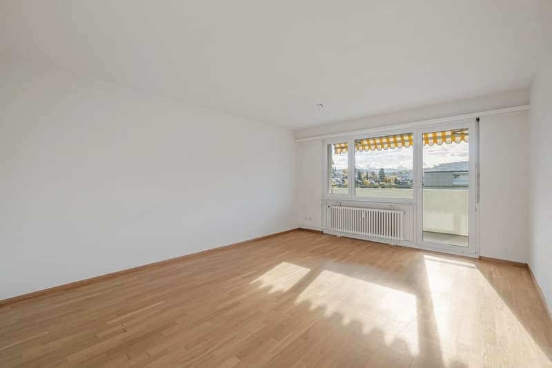 Appartamento luminoso con vista fantastica in una buona posizione a Fraumattquartier (2)