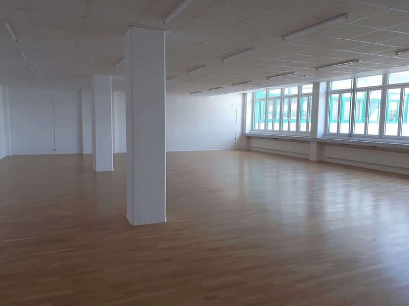 GREENHOUSE - Your new studio, office, storage, workshop or studio...? (3)