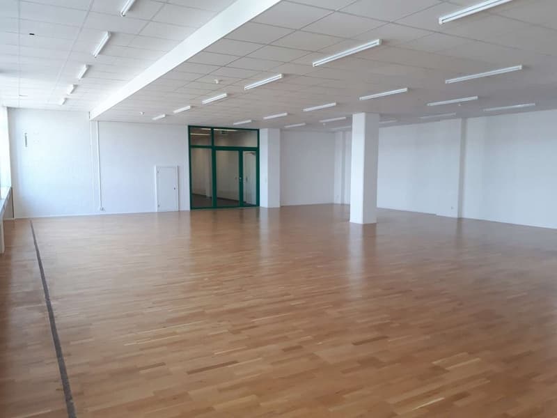 GREENHOUSE - Your new studio, office, storage, workshop or studio...? (6)