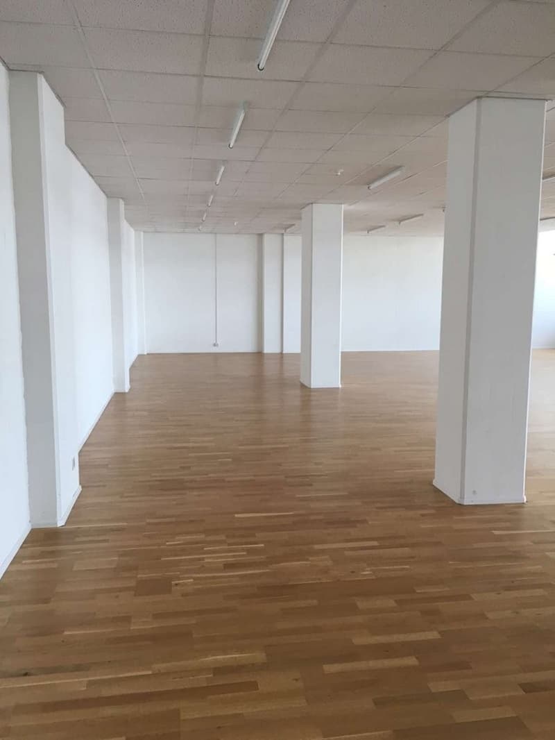 GREENHOUSE - Your new studio, office, storage, workshop or studio...? (4)