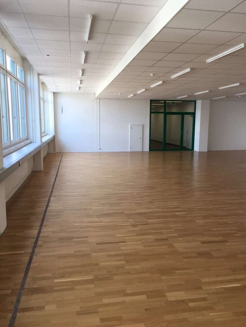 GREENHOUSE - Your new studio, office, storage, workshop or studio...? (5)