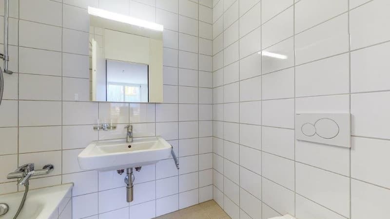 Sogno urbano accanto ad un'area di ricreazione (4)