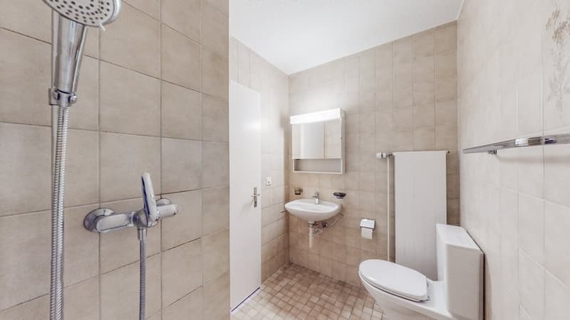 4-Zi-Whg-in-Luterbach-WC_DU.jpg