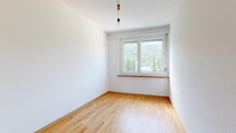 Rêve de maison avec vue sur le lac de Bienne (5)