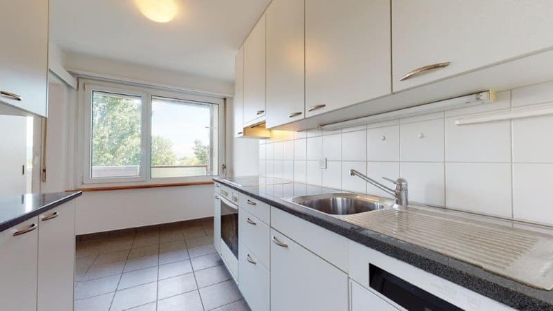 Rêve de maison avec vue sur le lac de Bienne (2)