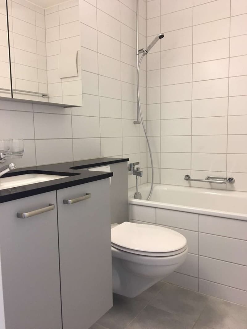 Your new home in Biberist - spacious, bright and cozy (7)