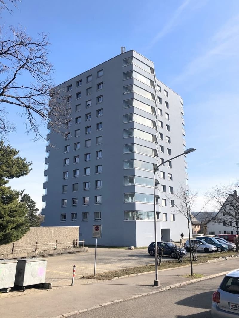Living with a view - Your new home in the best location in Solothurn (5)