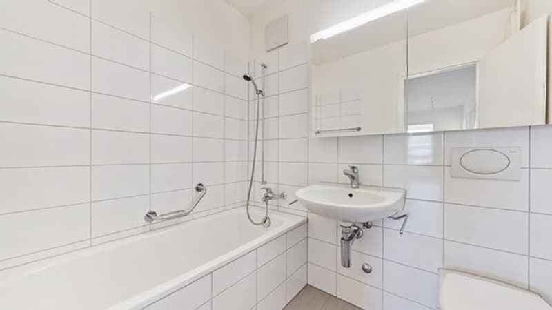 Living with a view - Your new home in the best location in Solothurn (4)