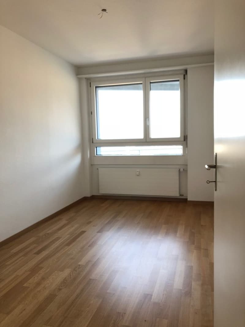 Living with a view - Your new home in the best location in Solothurn (3)
