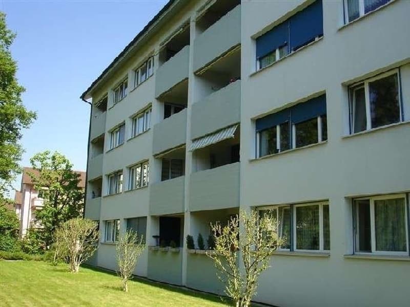 Cozy 3.5-room apartment in Allschwil (10)