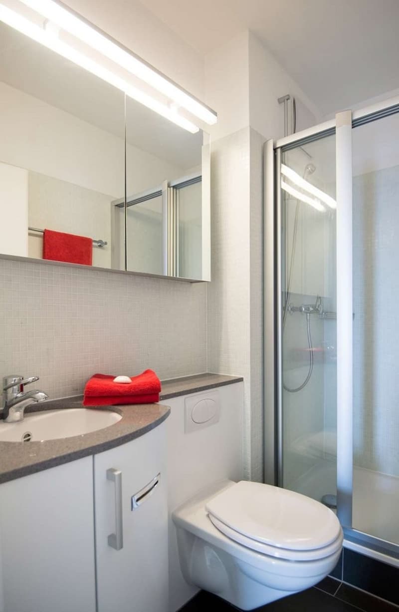 Sonnige Dachwohnung nahe Altstadt (5)