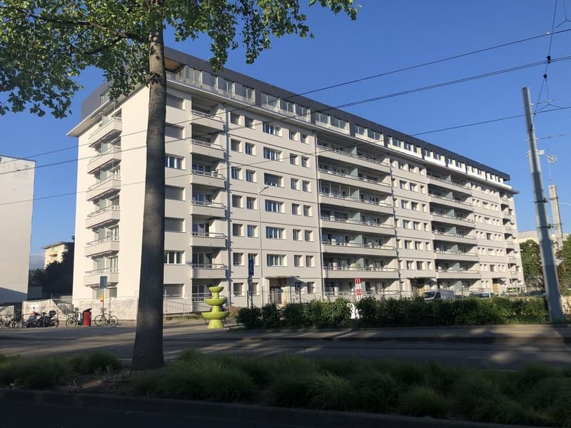 Mietkaution von 18m2 im Grand-Lancy (1)