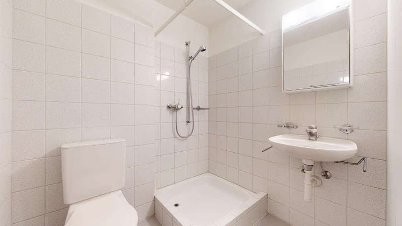 Appartamento adatto alle famiglie in un quartiere tranquillo! (5)