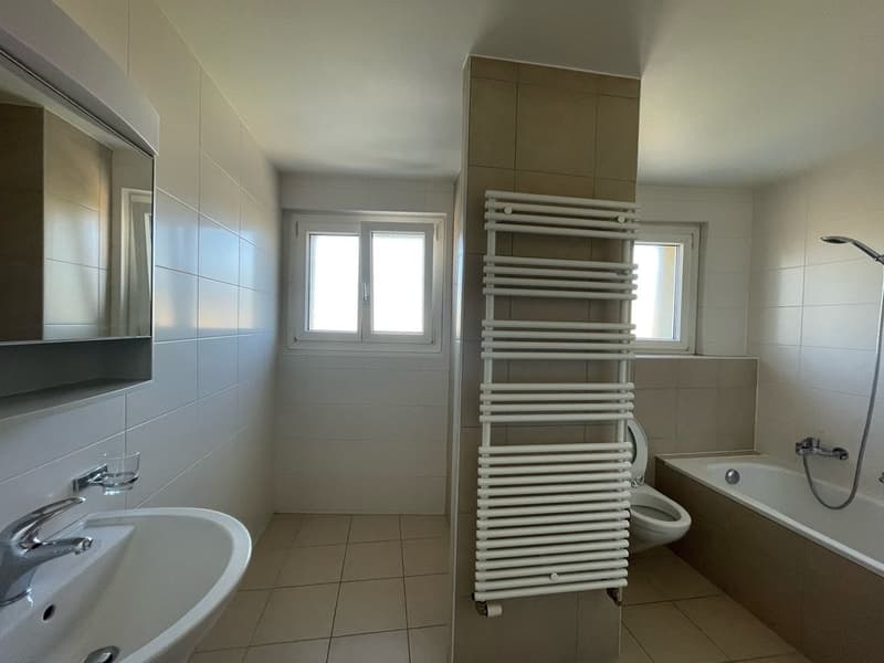 Bright 3.5-room apartment of 100m2 (4)