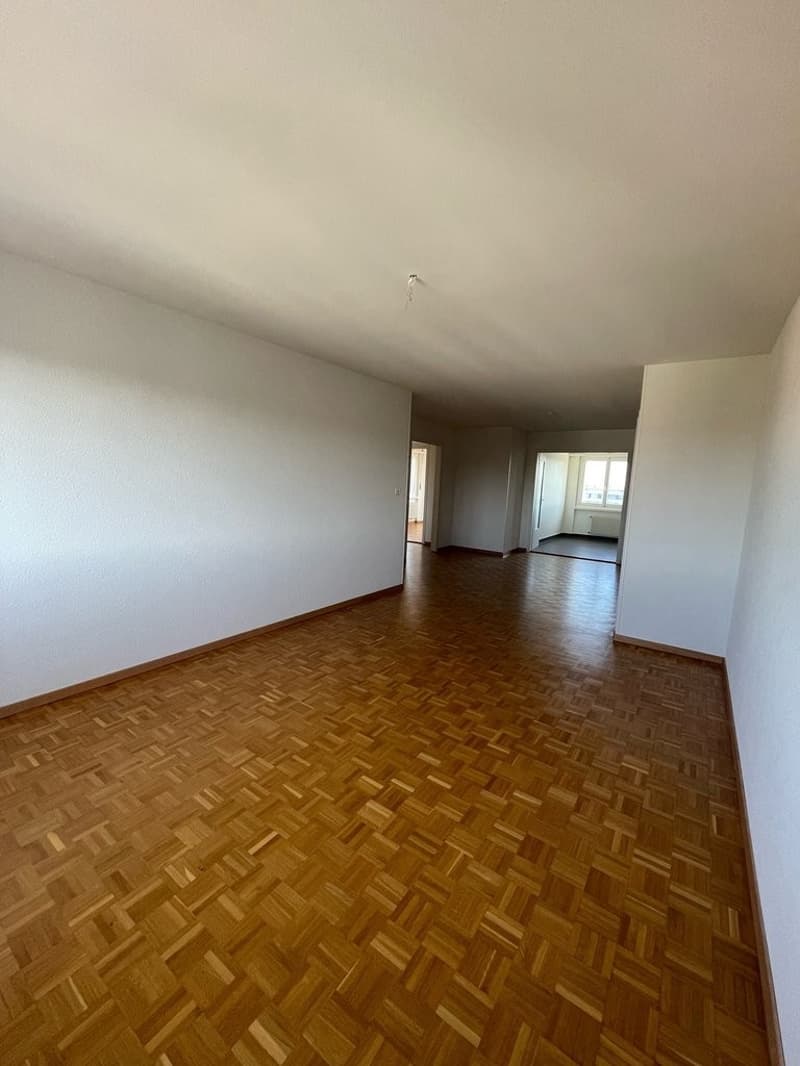 Bright 3.5-room apartment of 100m2 (3)