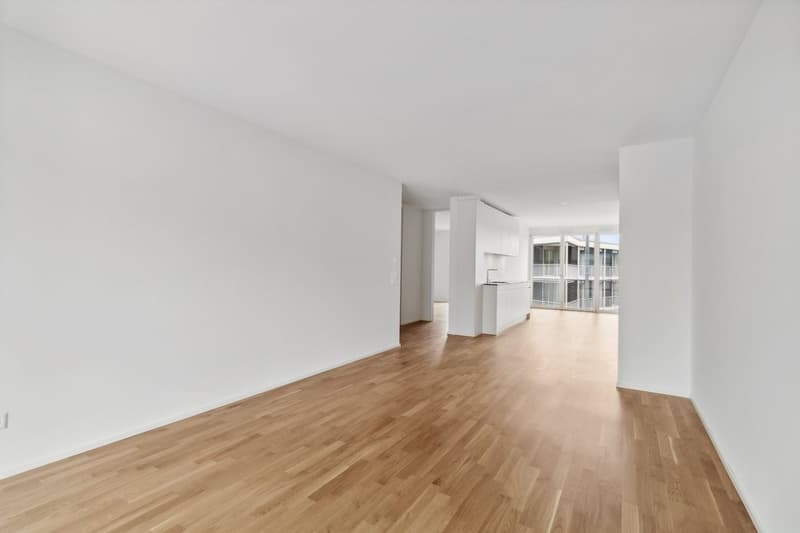 Appartement 4 ½ pièces, 8045 Zurich (6)