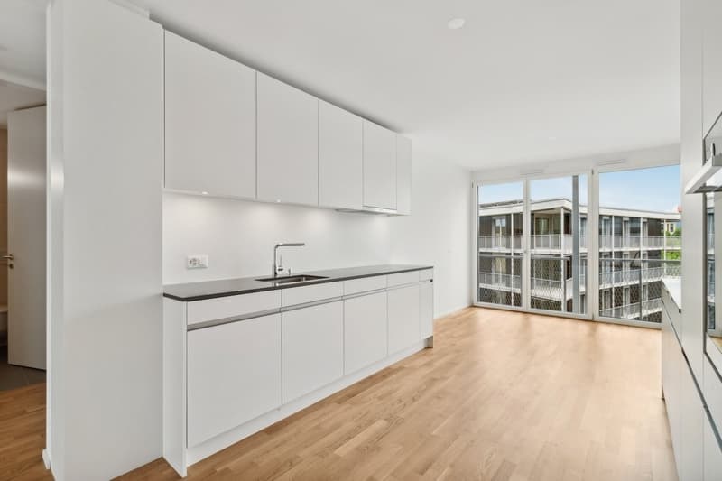 Appartement 4 ½ pièces, 8045 Zurich (4)